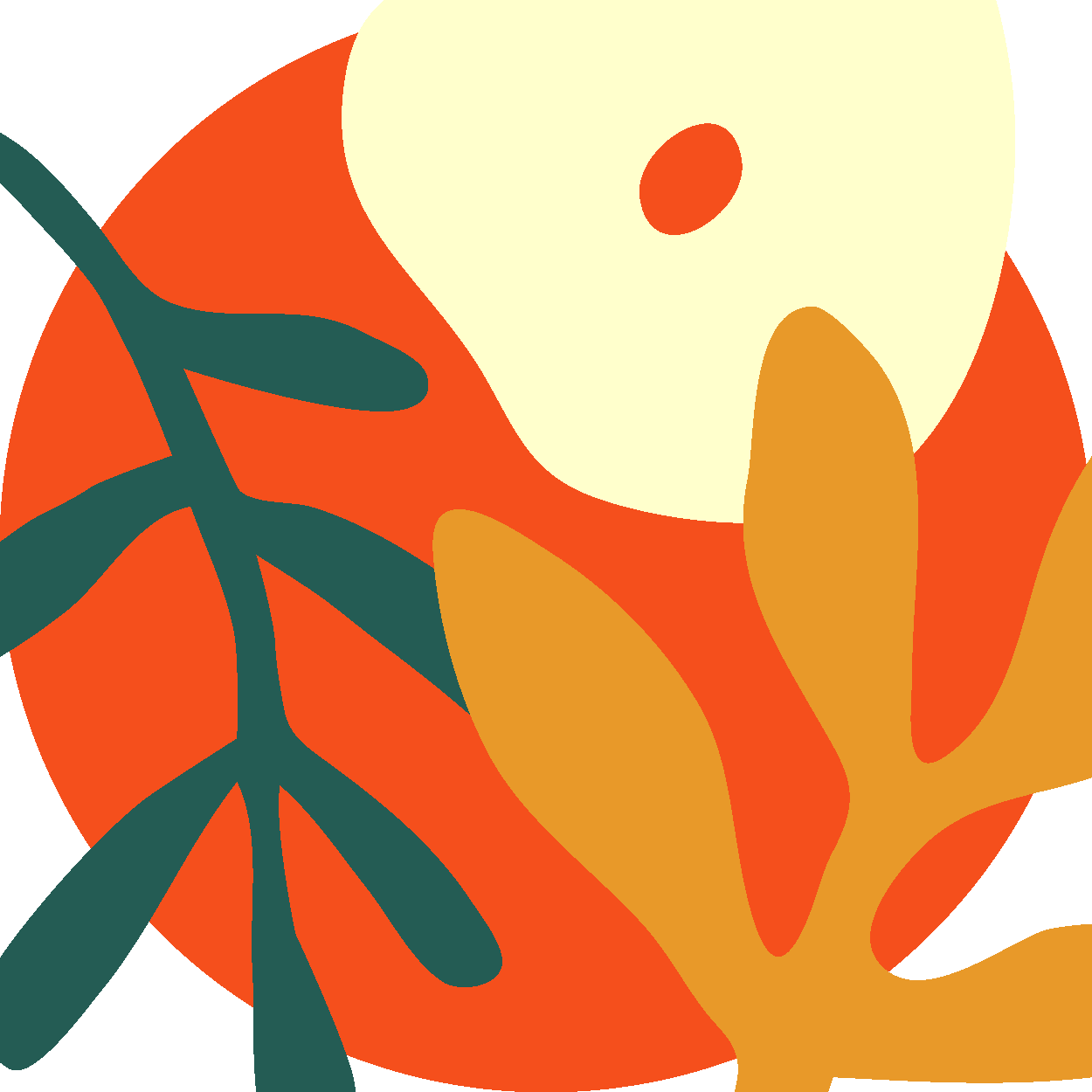 circle image of orange with leaves on it